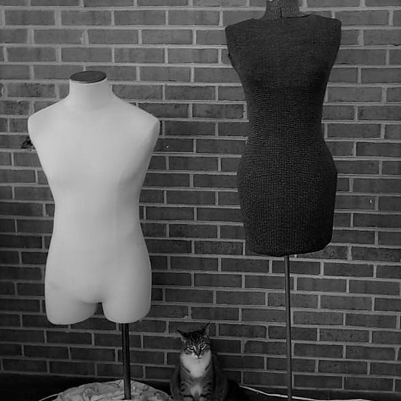 Meet your Posher, Lisa Bloom Owen! - Picture 3 of 3